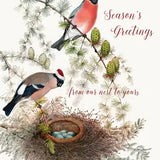 Holiday Cards