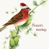 Holiday Cards